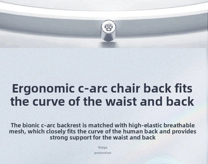 Office chairComputer  Office  Ergonomic  Office Sedentary Learning  Mahjong  Conference  Dormitory