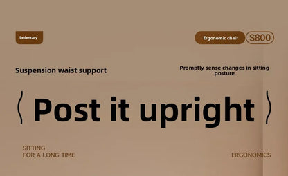 Stable Durable Ergonomic chair Floating wing waist support Computer chair Office chair Back chair Household e-sports chair
