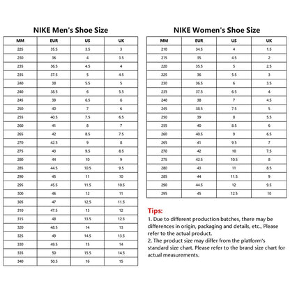 Nike big children's shoes COURT BOROUGH MID 2 (GS) casual shoes CD7782-110