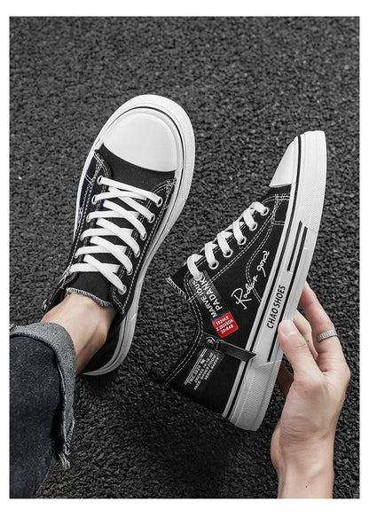 Chaussures de ville décontractées en toile pour hommes, grandes tailles, idéales pour l’été, avec semelle souple et antidérapante, parfaites pour la marche en extérieur, chaussures de sport à la mode pour jeunes, ch