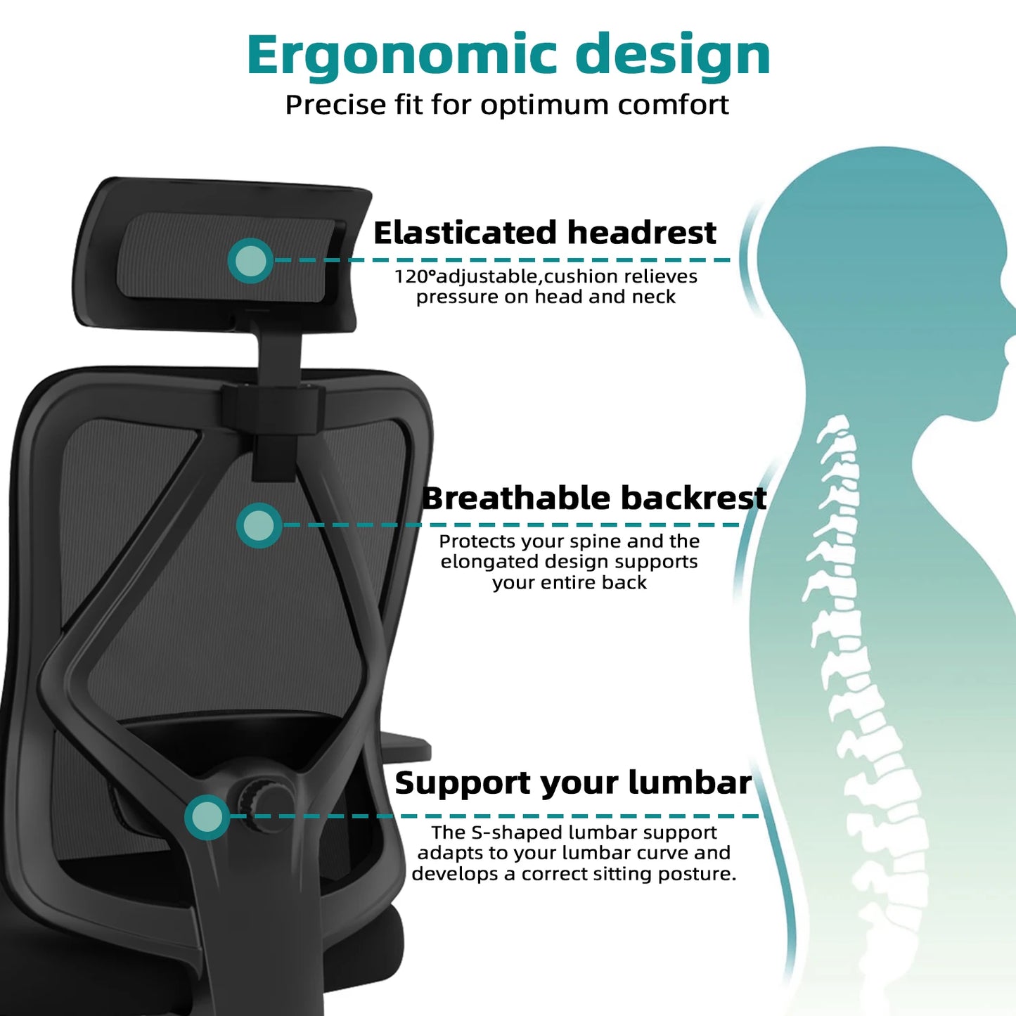 Daccormax Ergonomic Office Chair, Mesh Desk Chair Adjustable Lumbar Support, Swivel Tilt Wheels for Home Office Gaming