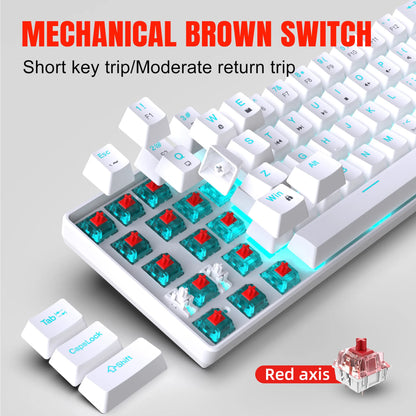 Mechanical keyboard gaming 60% USB white keys Keyboards gamer mini Ergonomic Computer keyboard Backlit Music keyboard pc