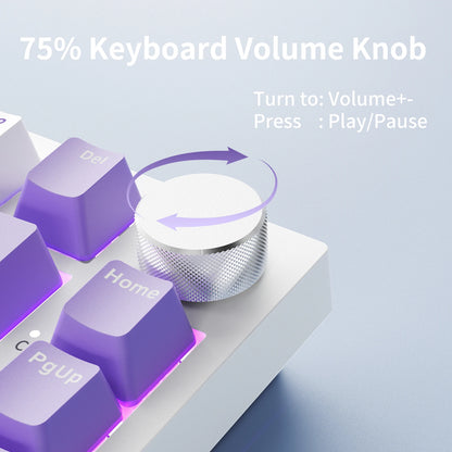 Teclado mecánico con cable AJAZZ AK820 75%: hot‑swappable, retroiluminación RGB/blanca/azul hielo, control con perilla de volumen | Para oficina y gaming